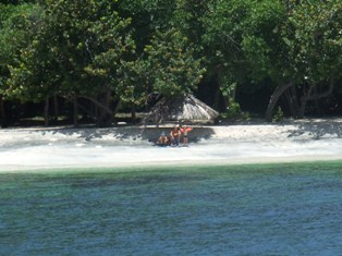 Abandonnés sur une île déserte !