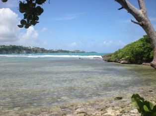 Récif du Gosier