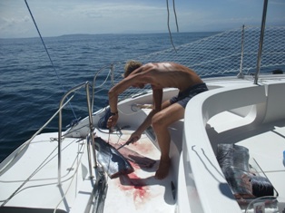 Pêche miraculeuse