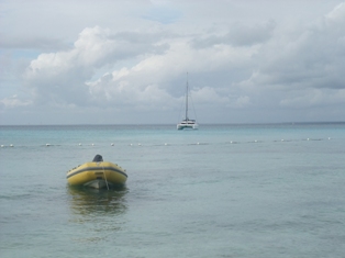 Saona