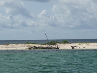 Sandy Island