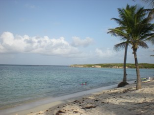 Plage de Terre de Bas à Petite Terre